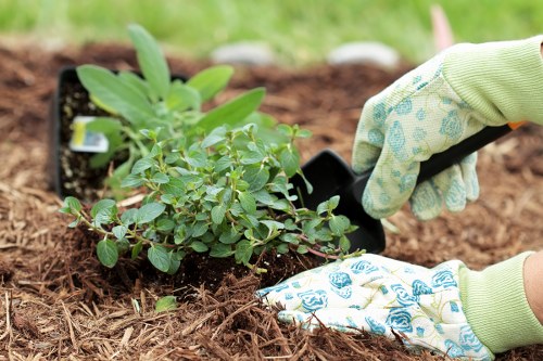 Inclusive online access for Landscaping Yiewsley visitors