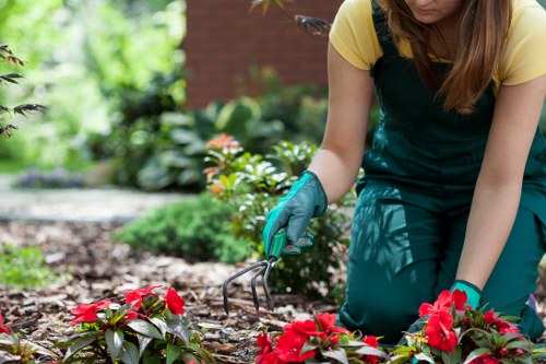 Local property garden clearance example with access considerations
