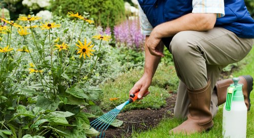 Review of landscaping issue documentation and photos