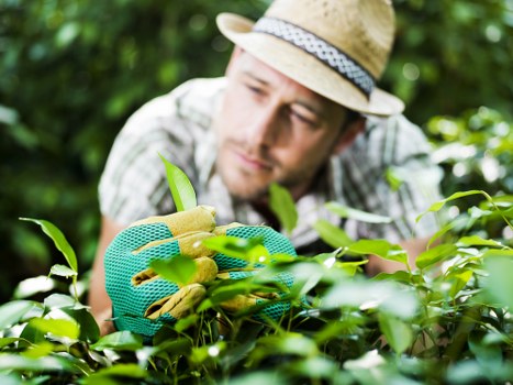 Planning and preparation for garden makeovers in Yiewsley