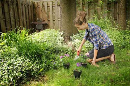 Border planting and lawn improvements in Yiewsley