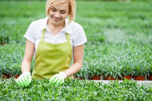 Patio, planting, and lawn options for a Yiewsley garden makeover
