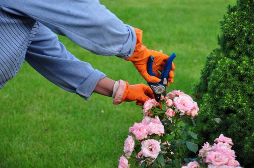 Reusable garden materials prepared for charity donation