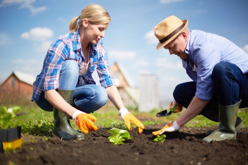 Site inspection during a landscaping complaint assessment